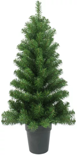 Image without description