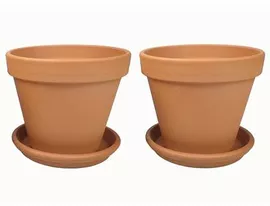 Image without description
