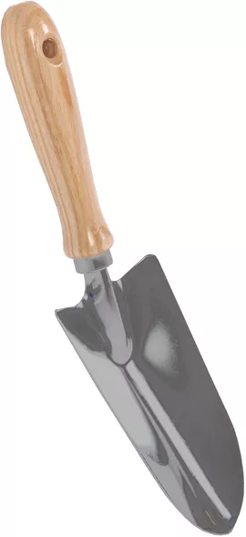 Image without description