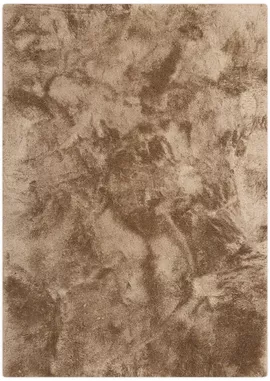 Image without description