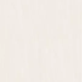 Image without description