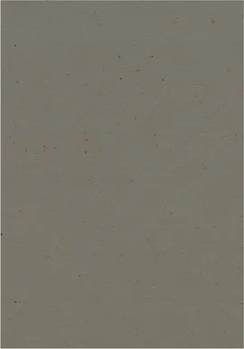Image without description