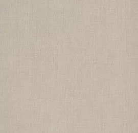 Image without description