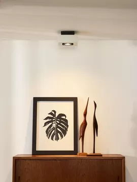 Image without description