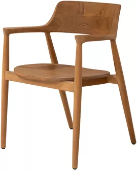 Image without description