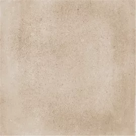 Image without description