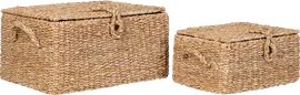 Image without description