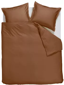 Image without description