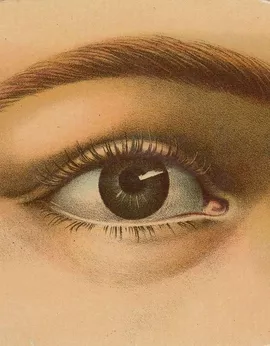 Image without description