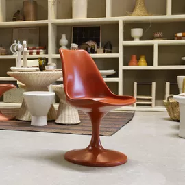 Image without description