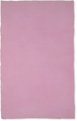 Image without description