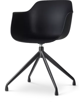 Image without description