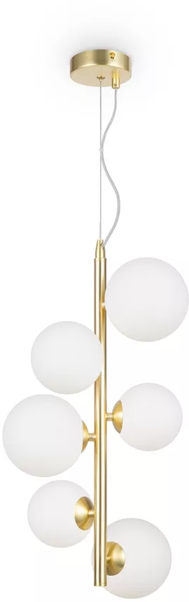 Image without description