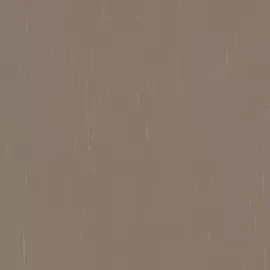 Image without description