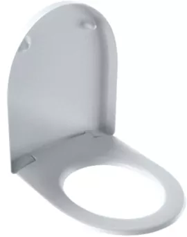 Image without description