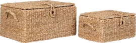 Image without description