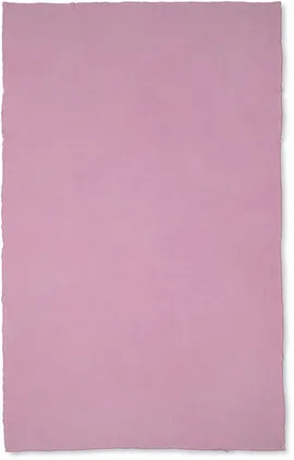 Image without description