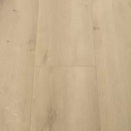 Image without description