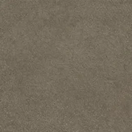 Image without description