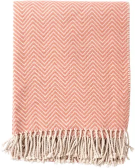 Image without description