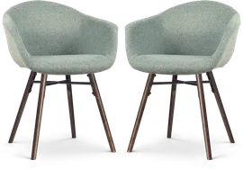 Image without description
