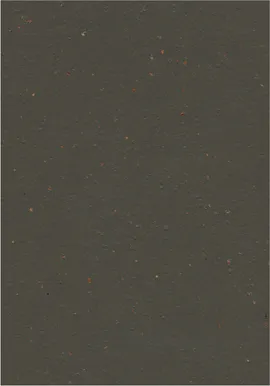 Image without description