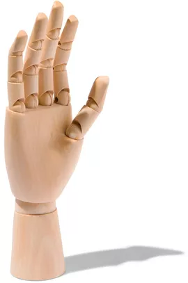 Image without description