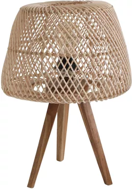 Image without description