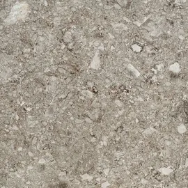 Image without description