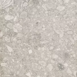 Image without description