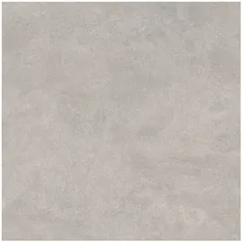 Image without description