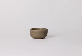 Image without description