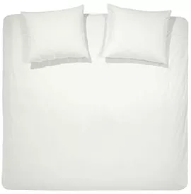 Image without description