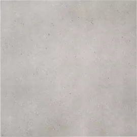 Image without description