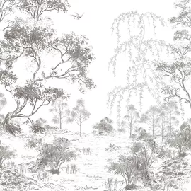 Image without description