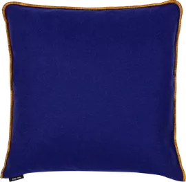 Image without description