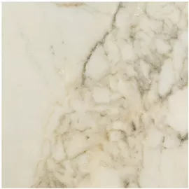 Image without description