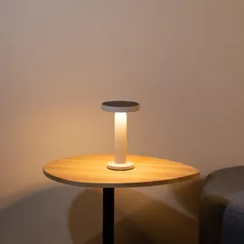 Image without description