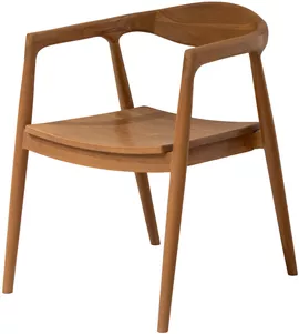 Image without description