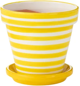 Image without description